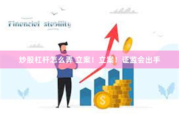 炒股杠杆怎么弄 立案！立案！证监会出手