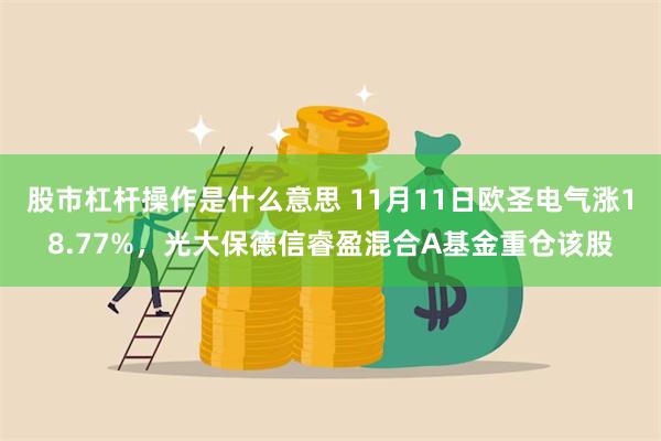 股市杠杆操作是什么意思 11月11日欧圣电气涨18.77%，光大保德信睿盈混合A基金重仓该股