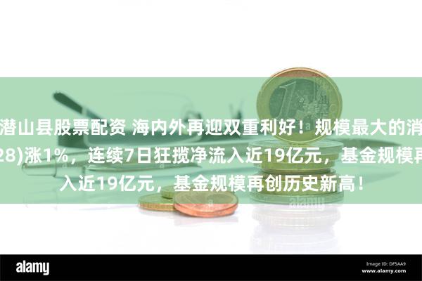 潜山县股票配资 海内外再迎双重利好！规模最大的消费ETF(159928)涨1%，连续7日狂揽净流入近19亿元，基金规模再创历史新高！