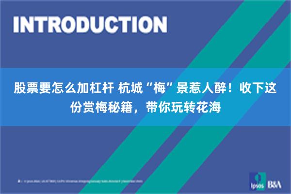 股票要怎么加杠杆 杭城“梅”景惹人醉！收下这份赏梅秘籍，带你玩转花海